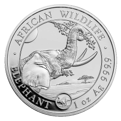Zilveren Somalische Olifant 1 OZ 2023