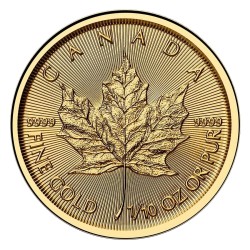 Koop de Gouden 1/10 OZ Maple Leaf 2026 bij Goudwisselkantoor