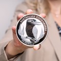 Koop de zilveren Kookaburra 1 kilogram bij Goudwisselkantoor